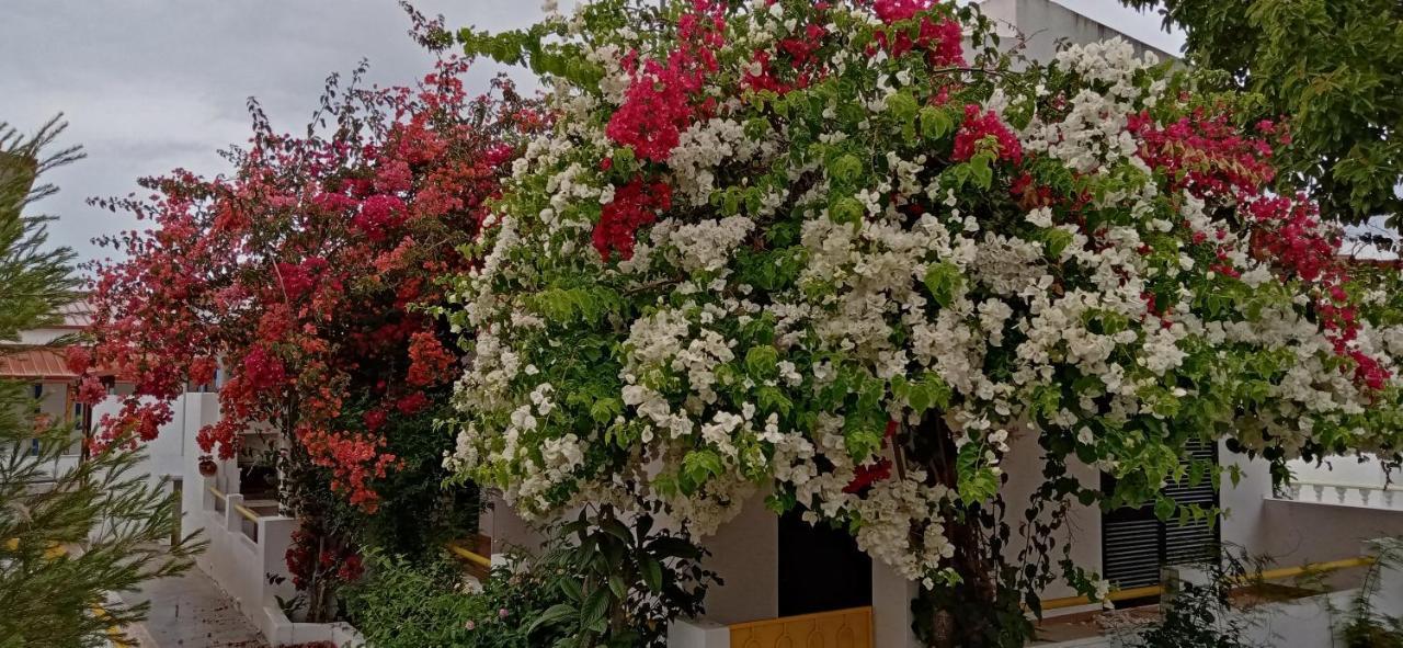 Le Boucanier Tavira Buitenkant foto