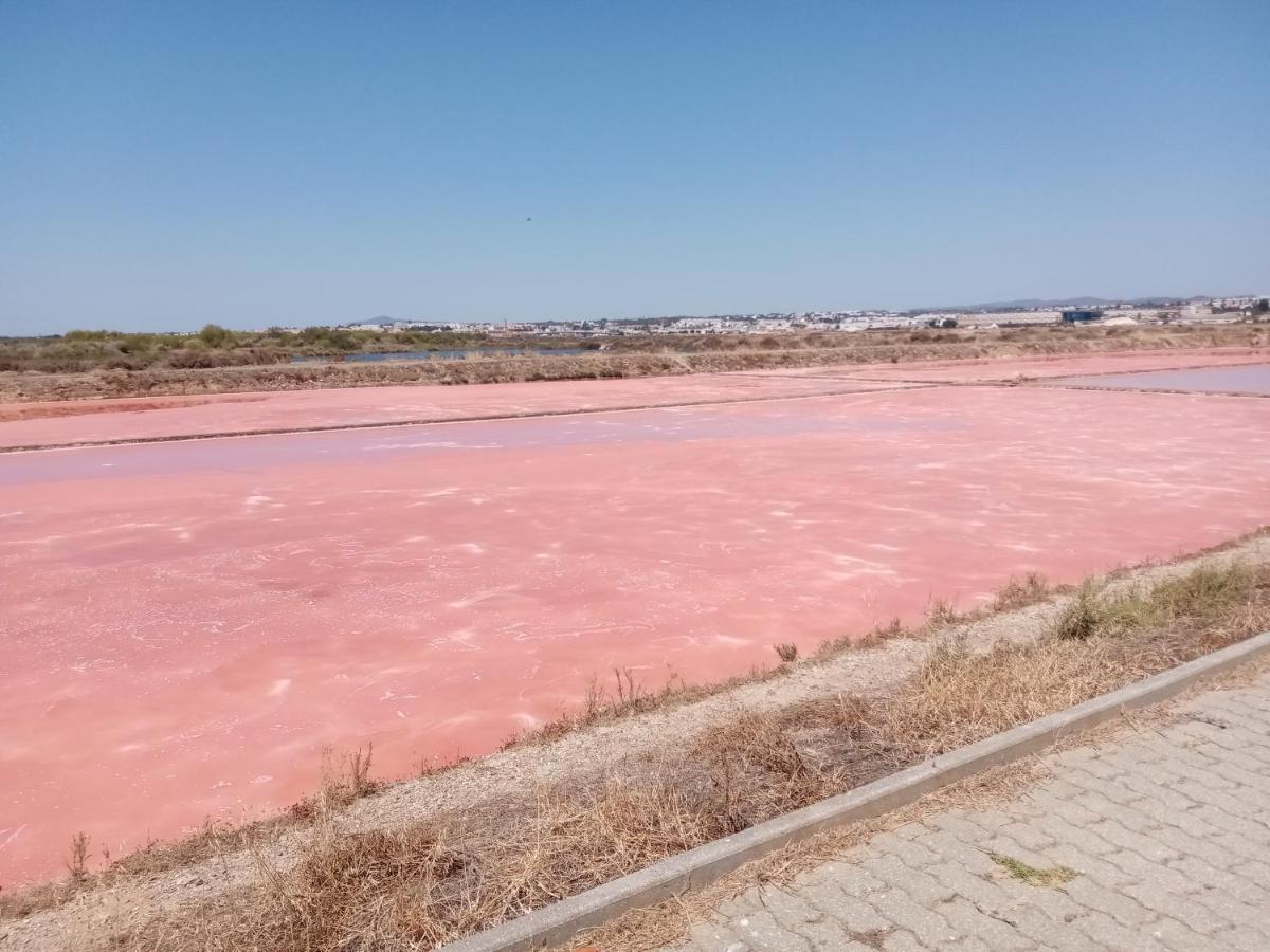 Le Boucanier Tavira Buitenkant foto