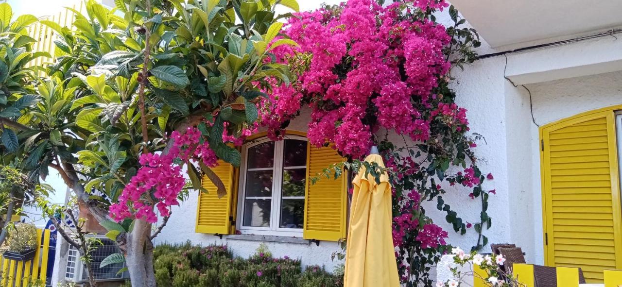 Le Boucanier Tavira Buitenkant foto