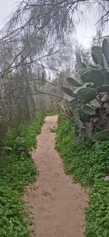 Le Boucanier Tavira Buitenkant foto
