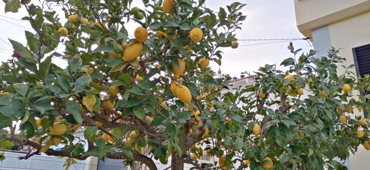 Le Boucanier Appartement Tavira Buitenkant foto