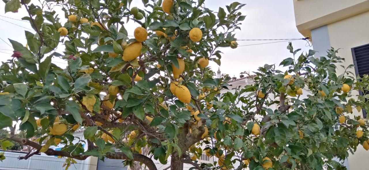 Le Boucanier Tavira Buitenkant foto